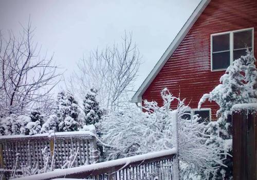 A snowy landscape featuring a red house, frosted trees, and a wooden fence under a gray sky.