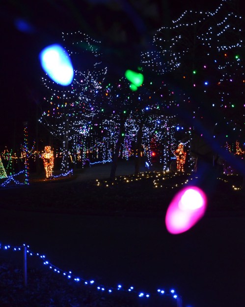 Colorful holiday lights illuminate a festive outdoor scene with trees and figures, creating a magical atmosphere.