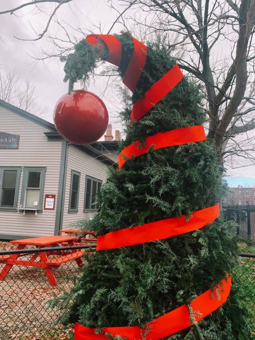 A whimsical Christmas tree with a curved top, adorned with red ribbons and a large red ornament, set outside a building.