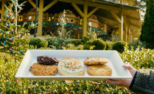 A person holds a tray of assorted cookies in a festive outdoor setting with a carousel in the background.