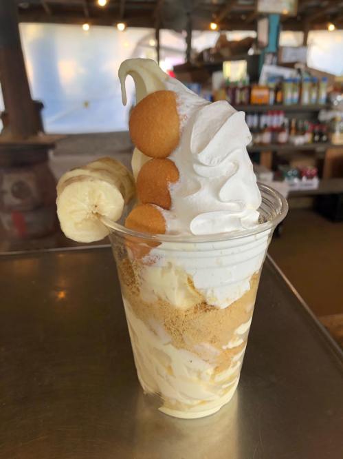 A cup of banana pudding ice cream topped with whipped cream and vanilla wafers, with a banana slice on the side.
