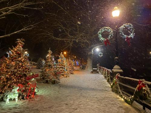 A snowy night scene with decorated Christmas trees and festive lights along a pathway, creating a winter wonderland.