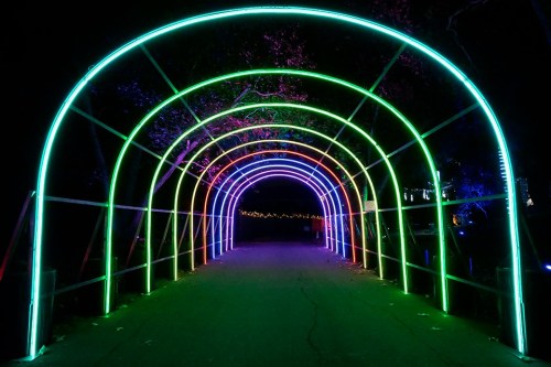 A brightly lit archway of colorful neon lights in a dark park setting, creating a vibrant tunnel effect.
