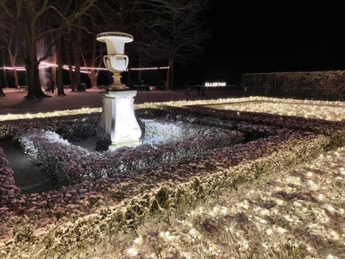 A beautifully lit garden at night featuring a fountain surrounded by flower beds and trees.