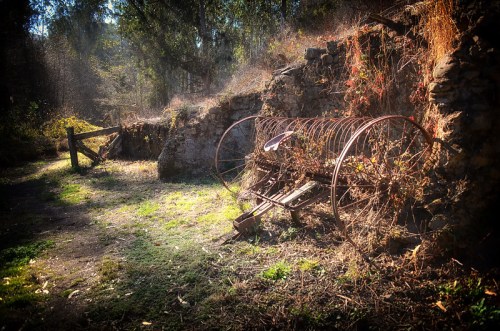An old, rusty farming implement rests against a stone wall, surrounded by overgrown vegetation and dappled sunlight.