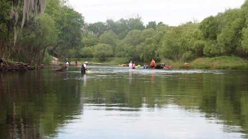 A serene river scene with people kayaking and wading among lush green trees and calm waters.