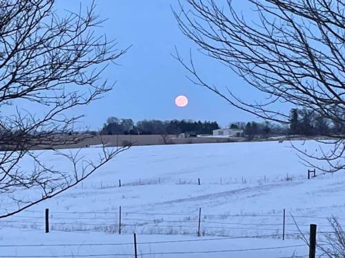 A pale moon rises over a snowy landscape, framed by bare tree branches and distant fields.