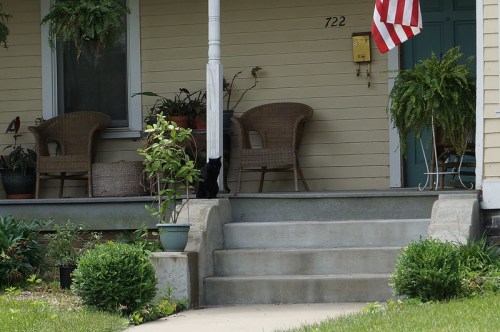 A black cat sits on a porch beside potted plants and a flag, with two wicker chairs in the background.
