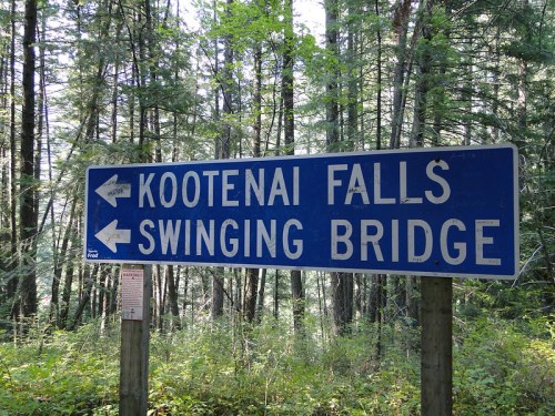 Signpost indicating directions to Kootenai Falls and Swinging Bridge, surrounded by lush green forest.