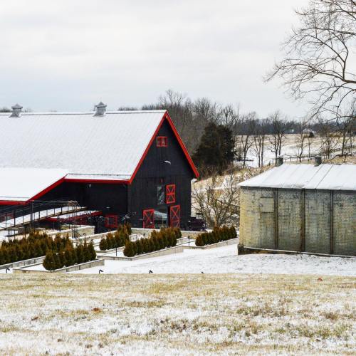 A snowy landscape featuring a red barn and a silos, with bare trees in the background under a cloudy sky.