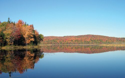 A serene lake reflecting vibrant autumn foliage and a clear blue sky, surrounded by colorful trees.