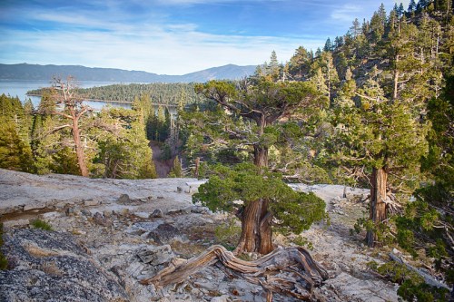 A scenic view of a rocky landscape with trees, overlooking a lake and mountains under a clear blue sky.