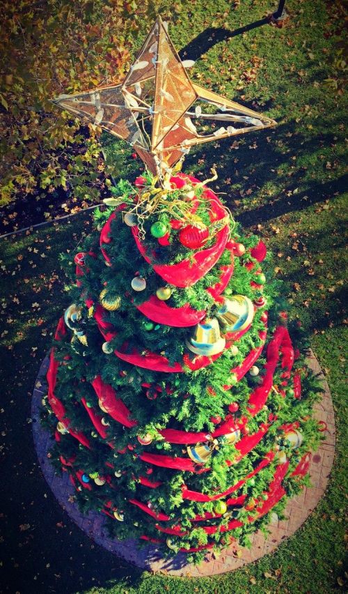 A beautifully decorated Christmas tree topped with a star, surrounded by red ribbons and ornaments, set in a park.