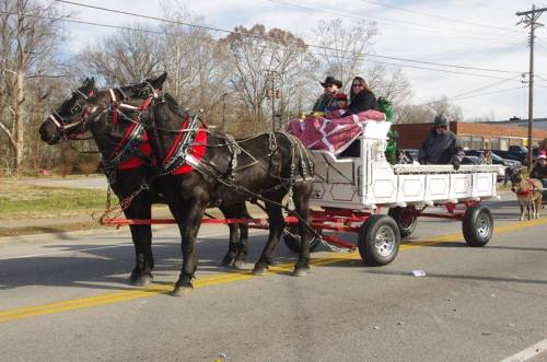 A horse-drawn carriage with two black horses, carrying passengers in festive attire along a street.