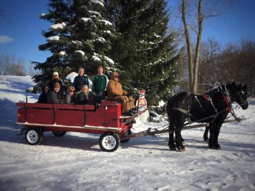 A group of people sitting in a red sleigh pulled by a horse, surrounded by snow-covered trees.