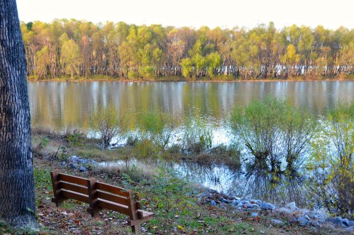 A serene lakeside scene with a wooden bench, surrounded by trees and reflecting water under a clear sky.