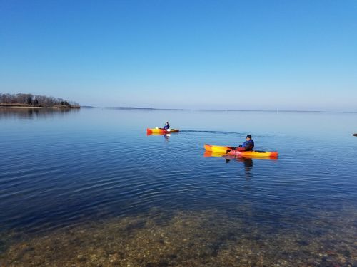 Two kayakers paddle on a calm lake under a clear blue sky, with a shoreline visible in the background.