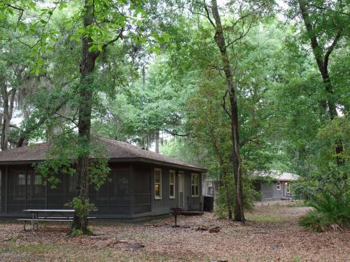 A cozy, screened-in cabin surrounded by lush green trees and foliage in a tranquil outdoor setting.