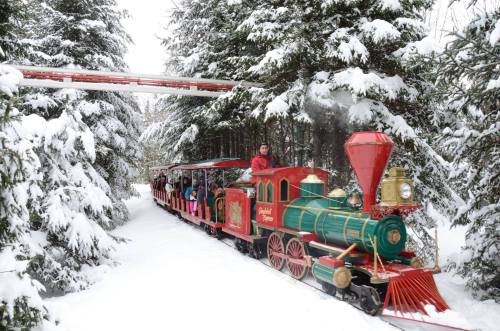 A festive train travels through a snowy forest, with children enjoying the ride amidst tall, snow-covered trees.