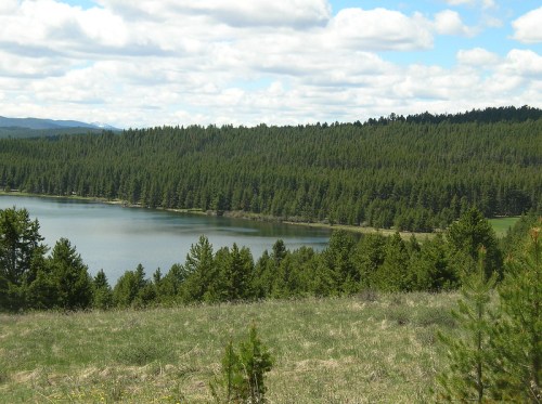 A serene landscape featuring a calm lake surrounded by lush green forests under a partly cloudy sky.