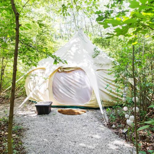 A white tent nestled among green trees, with a gravel path leading to it, surrounded by lush foliage.