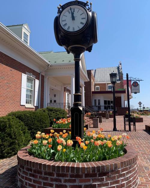 A vintage clock stands in front of a brick building, surrounded by colorful tulips in a flower bed.