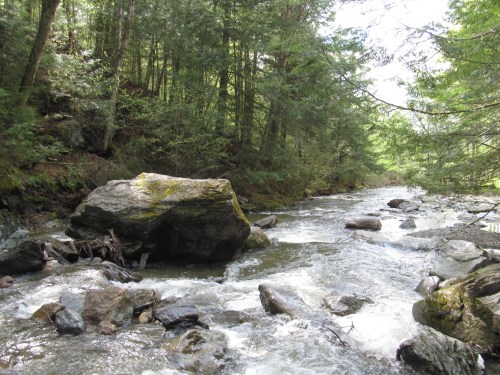 A serene river flows through a lush forest, with large rocks and greenery lining the banks.