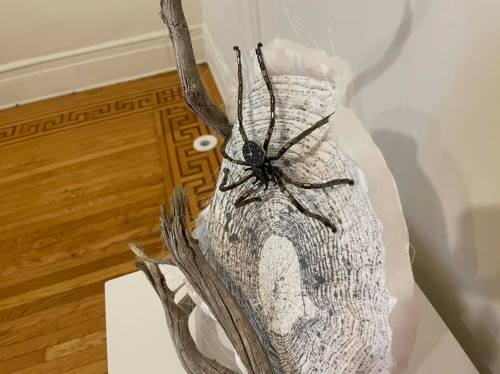 A realistic spider sculpture perched on a textured, natural-looking surface with wooden elements.