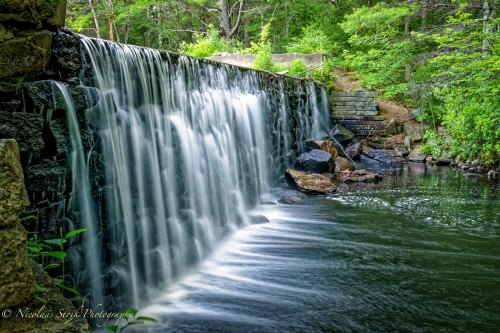 A serene waterfall cascades over rocks into a calm pool, surrounded by lush greenery and trees.
