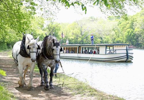 Two draft horses walk along a riverbank, while a boat with passengers floats nearby under a lush green canopy.