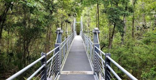 A suspension bridge surrounded by lush green trees, leading into a dense forest.