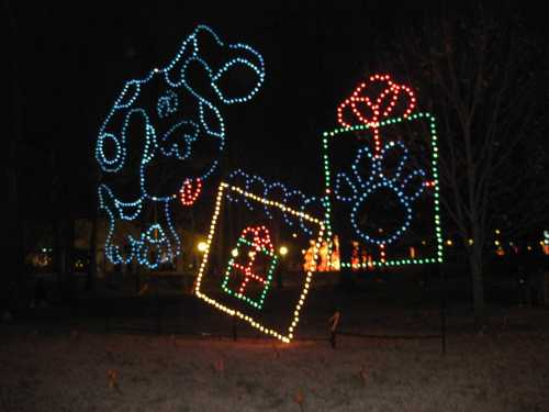 Colorful holiday lights depicting a dog and two gift boxes in a nighttime setting.