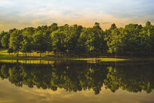 A serene lake surrounded by lush green trees, reflecting the landscape under a soft, golden sky.
