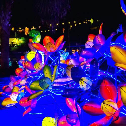 Colorful illuminated flowers in vibrant hues glow against a dark night backdrop, creating a festive atmosphere.