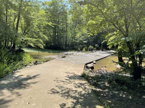 A serene pathway leads to a calm stream, surrounded by lush green trees and sunlight filtering through the leaves.