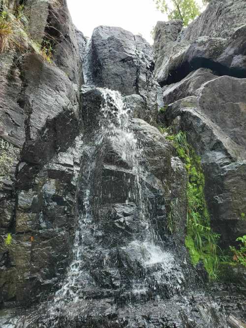 A cascading waterfall flows over dark, rocky cliffs surrounded by lush greenery.