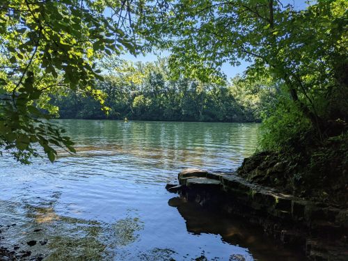 A serene river scene framed by lush green trees and a rocky shore, reflecting the clear blue sky.