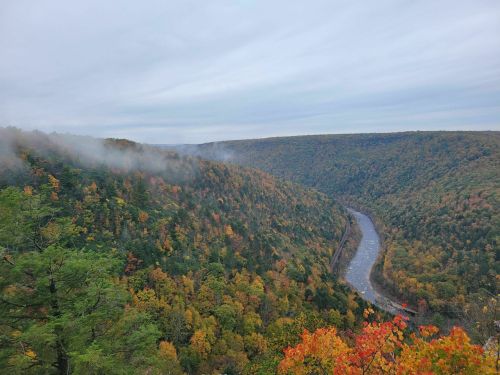 A scenic view of a river winding through a colorful autumn forest, with mist hovering over the hills.