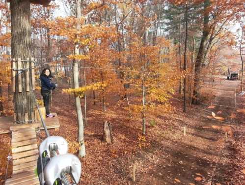 A person stands on a platform in a forest of autumn trees, surrounded by orange and yellow leaves.