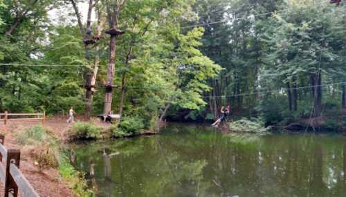 A person zip-lining over a pond in a wooded area, with trees and a climbing structure in the background.