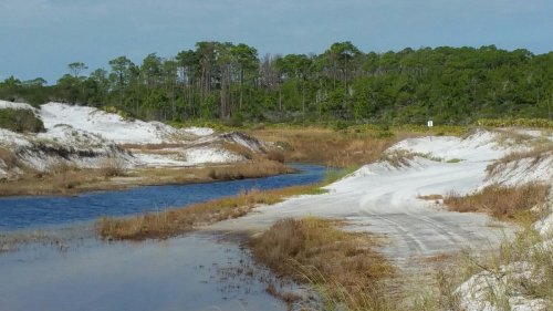 A winding river flows through sandy banks, surrounded by lush greenery and sparse vegetation under a clear sky.