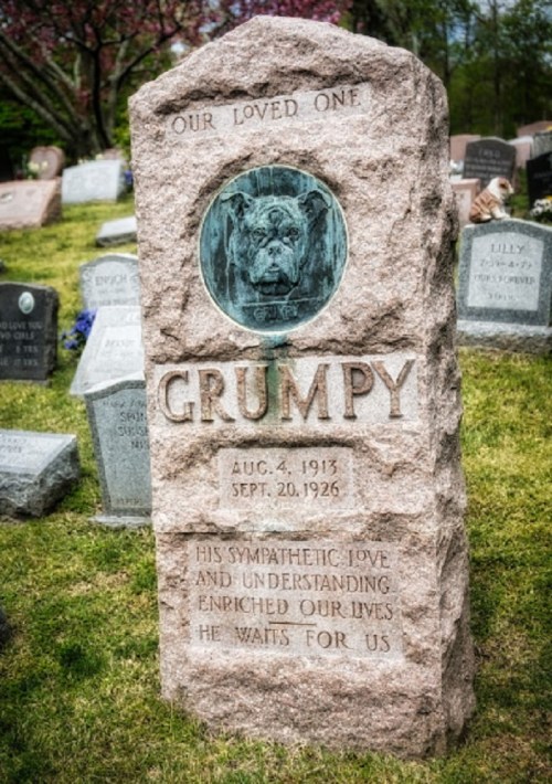 A gravestone for a dog named Grumpy, featuring a portrait and dates of birth and death, surrounded by other graves.