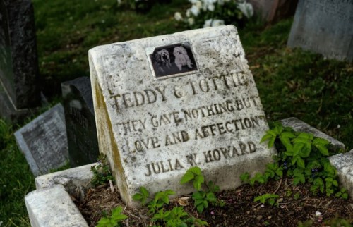 A weathered gravestone reads "Teddy & Tottie" with a photo, honoring their love and affection, attributed to Julia W. Howard.