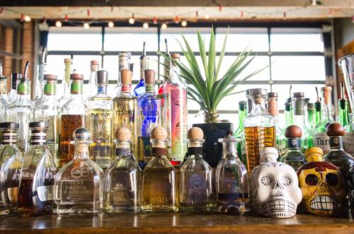 A vibrant bar display featuring various bottles of tequila, a potted plant, and decorative skulls.