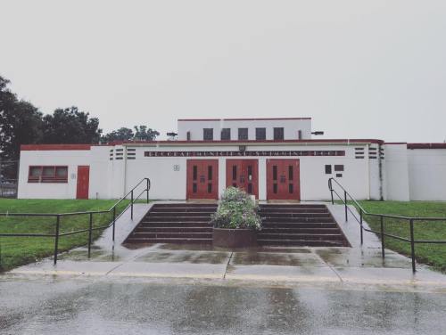 A school building with red doors and a grassy area, surrounded by puddles on a rainy day.