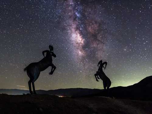 Silhouettes of two horse sculptures against a starry night sky with the Milky Way visible above.