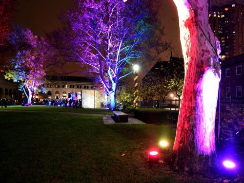 A park at night with colorful lights illuminating trees and a gathering of people in the background.