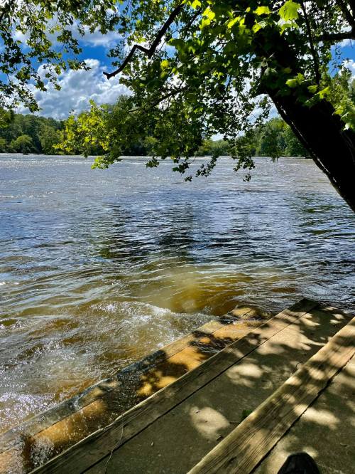 A serene river scene with gentle waves, framed by lush green trees and a wooden dock under a bright blue sky.