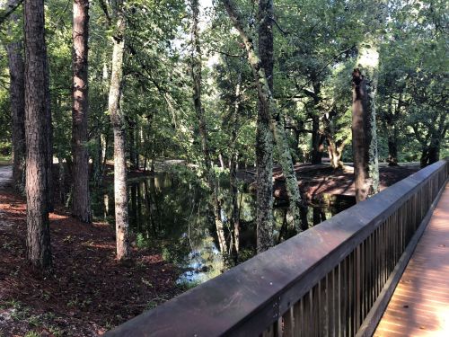 A serene wooded area with trees reflecting in a calm pond, viewed from a wooden bridge.