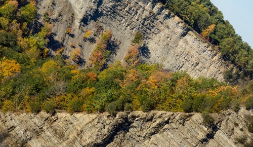 A rocky cliffside with colorful autumn trees at the base, showcasing layers of stone and vibrant foliage.